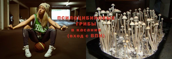 дурь Арсеньев