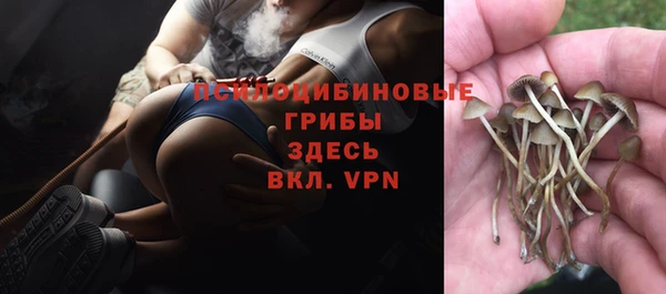 соль курить ск Аркадак