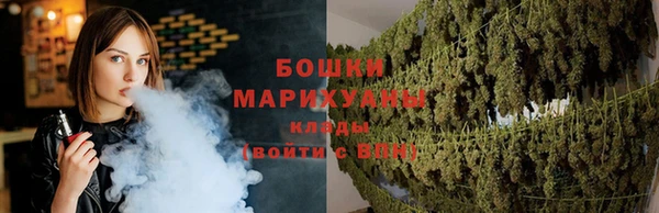 дурь Арсеньев