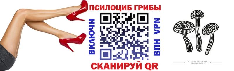 Галлюциногенные грибы GOLDEN TEACHER  купить  сайты  Мензелинск 
